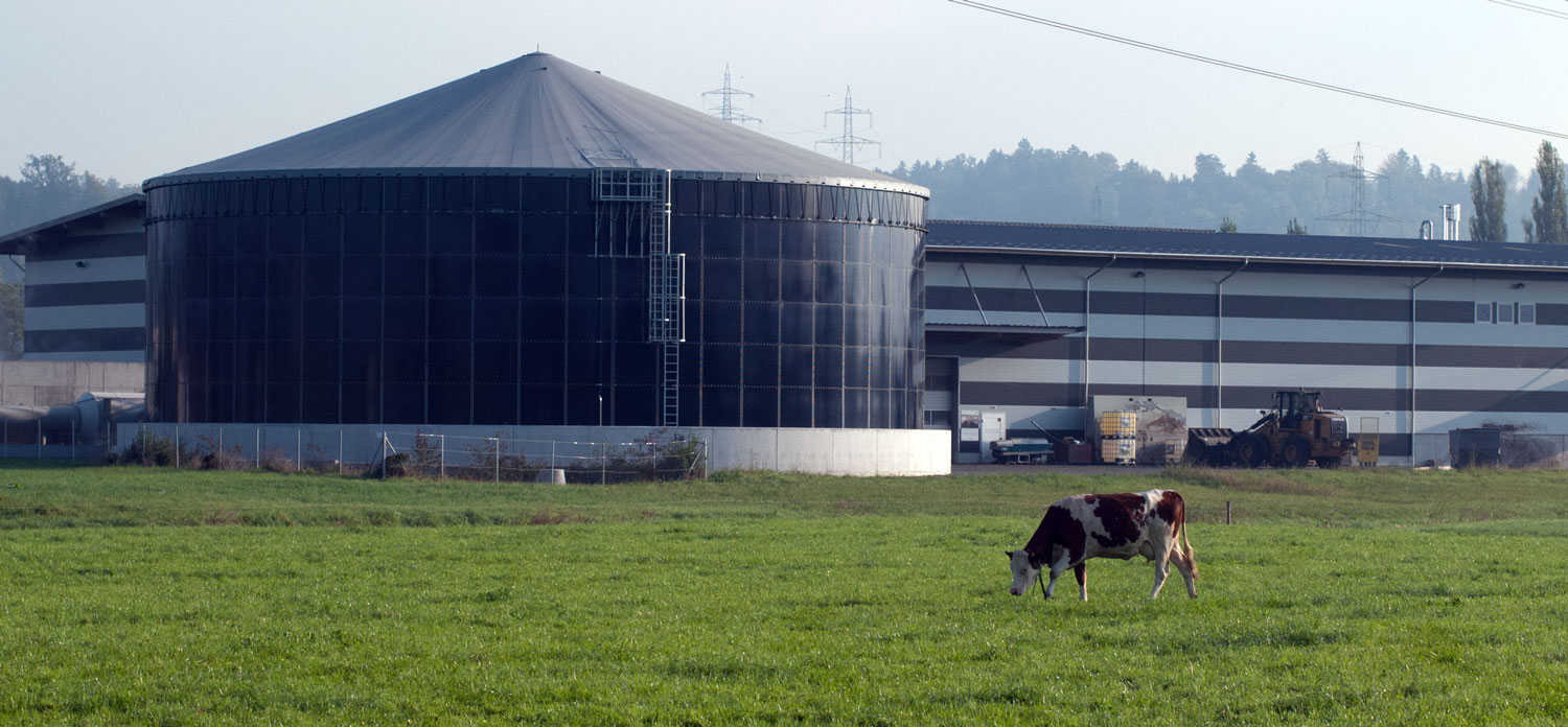 Erneuerbare Gase und Nachhaltigkeit