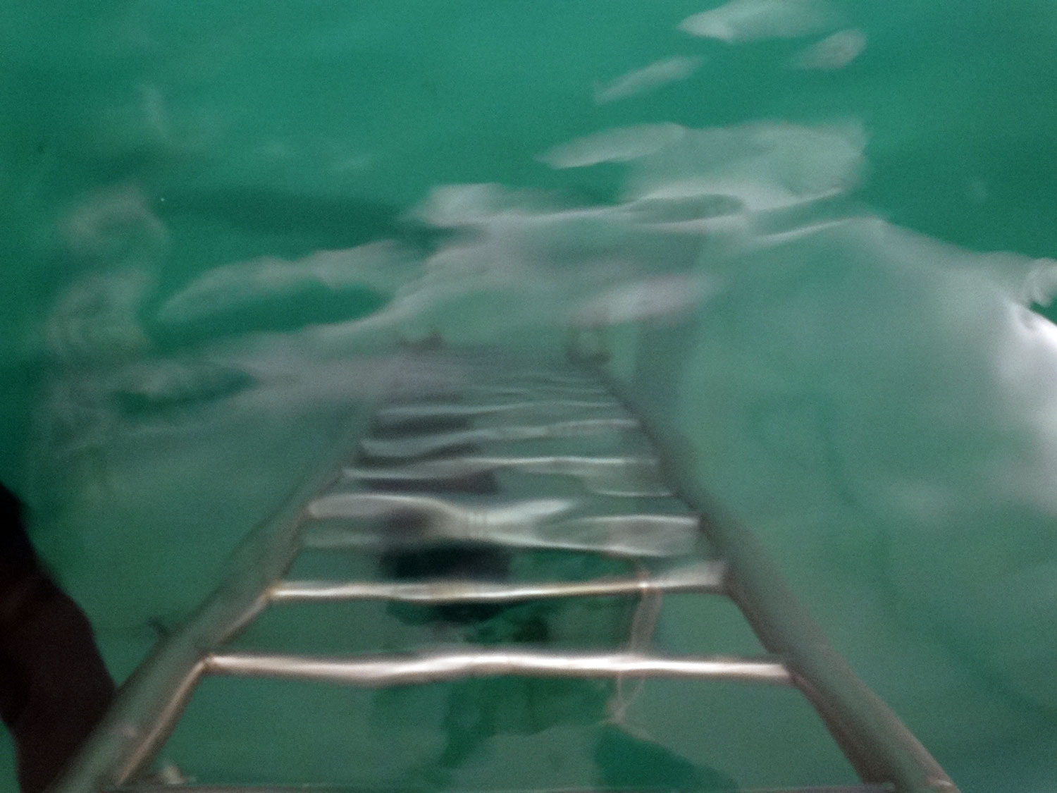 Speicherung & Verteilung